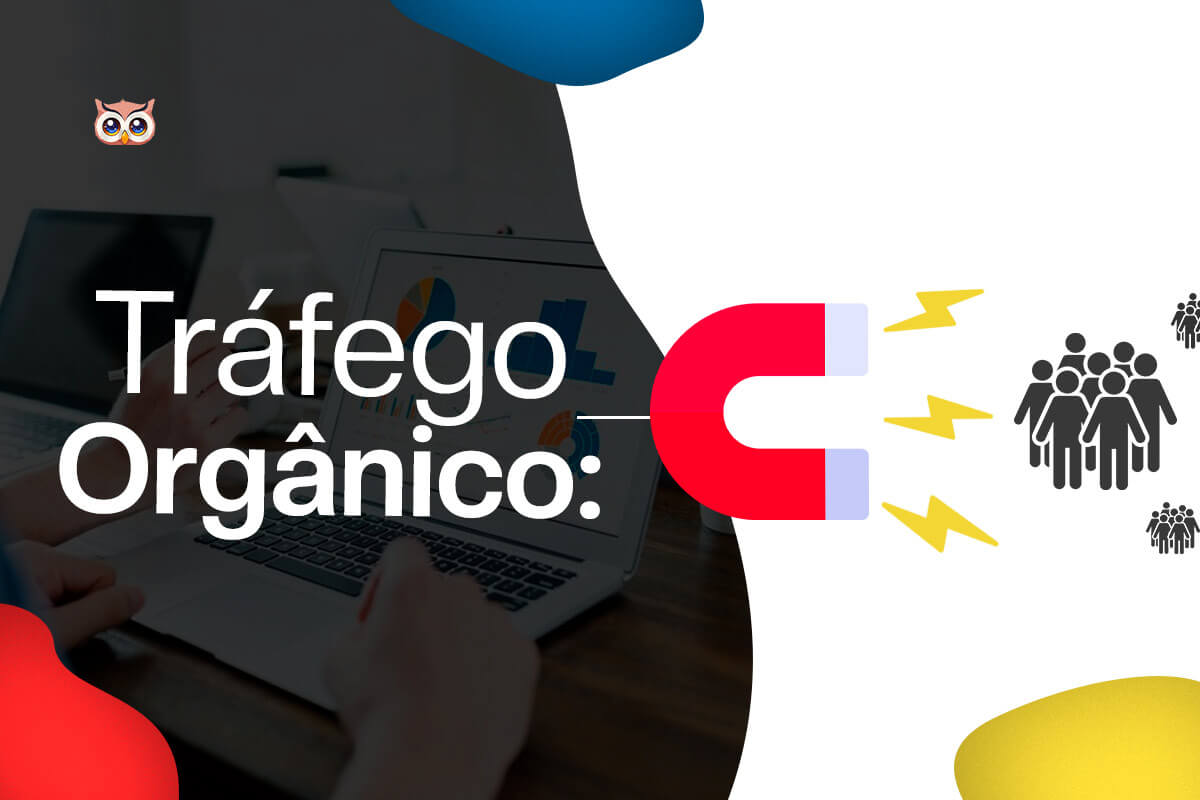 trafego-organico (3)