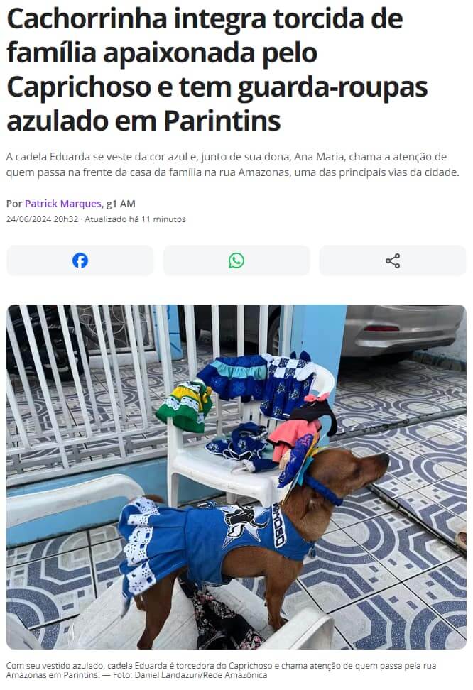 Print de uma página de notícia, com a legenda abaixo da imagem.